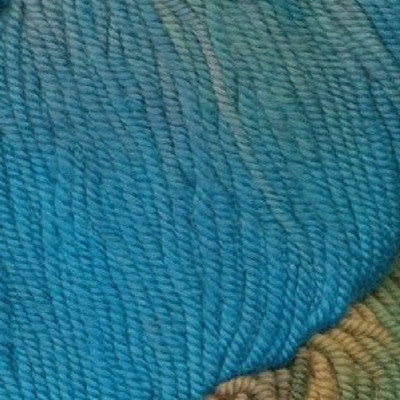 Araucania Huasco / Botany Lace