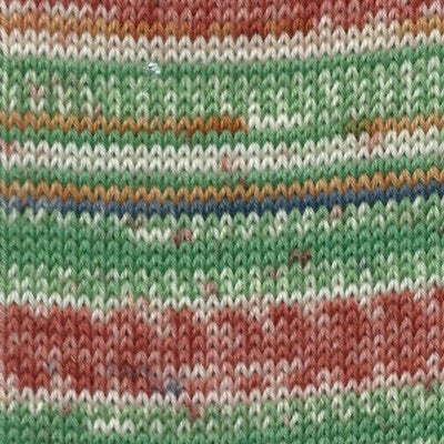 Schachenmayr Regia Design Line by Arne & Carlos